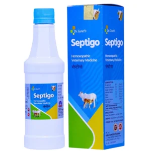 Septigo