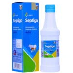 Septigo