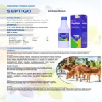 Septigo