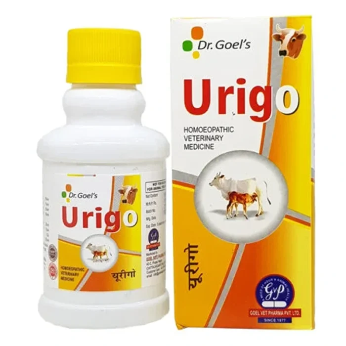 URIGO 6