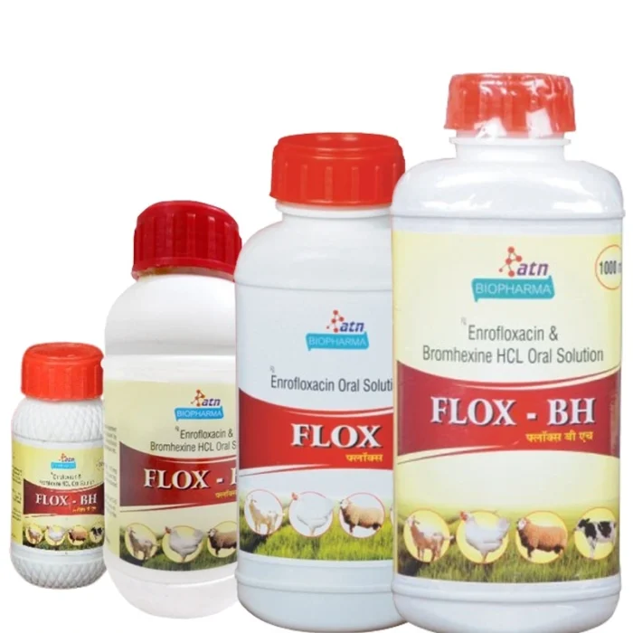 FLOX-BH Oral