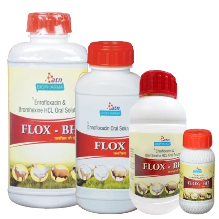 FLOX-BH Oral