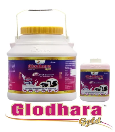 GLODHARA GOLD