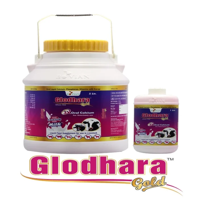 GLODHARA GOLD