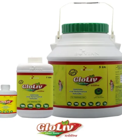 GLOLIV Liver Tonic