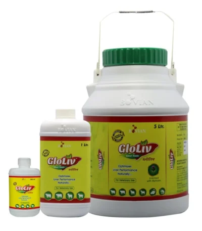 GLOLIV Liver Tonic