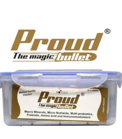 PROUD BOLUS