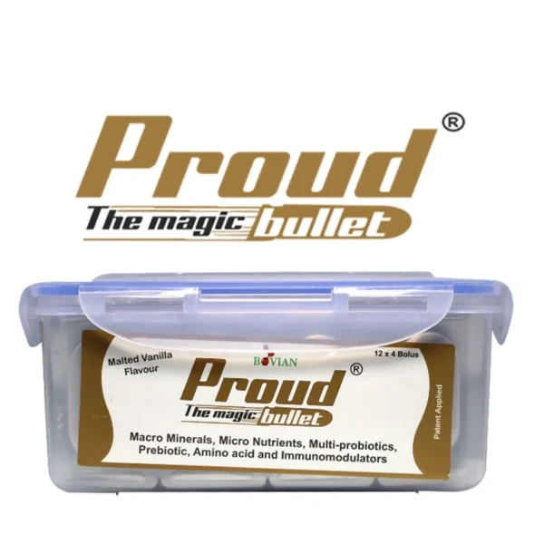 PROUD BOLUS