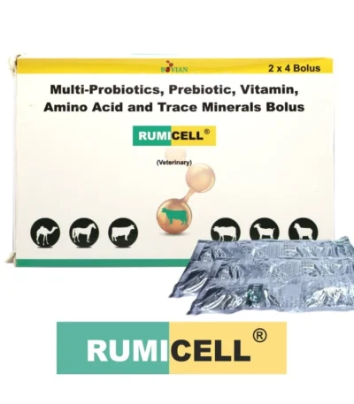RUMICELL BOLUS