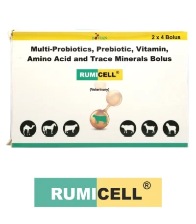 RUMICELL BOLUS