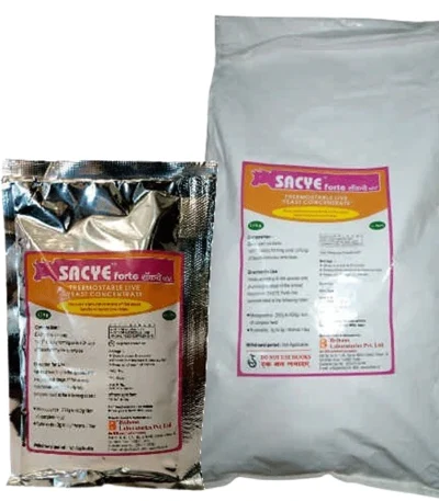 SACYE FORTE
