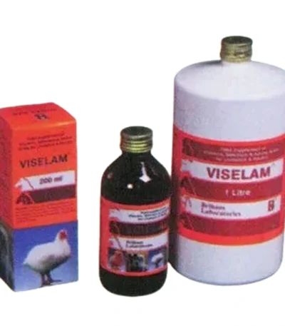 Viselam