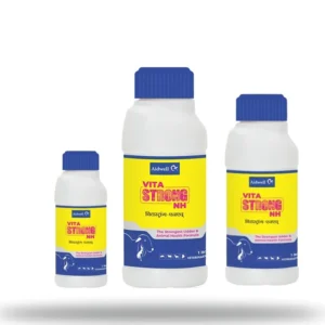 VitaStrong-NH