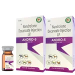 Andro-5 Injection