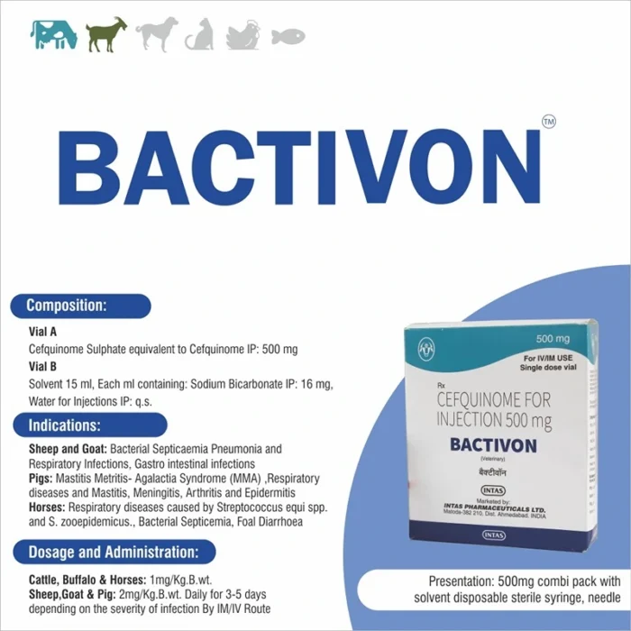 BACTIVON