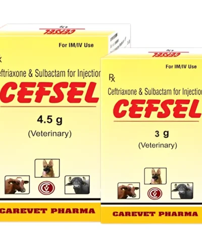 CEFSEL Injection