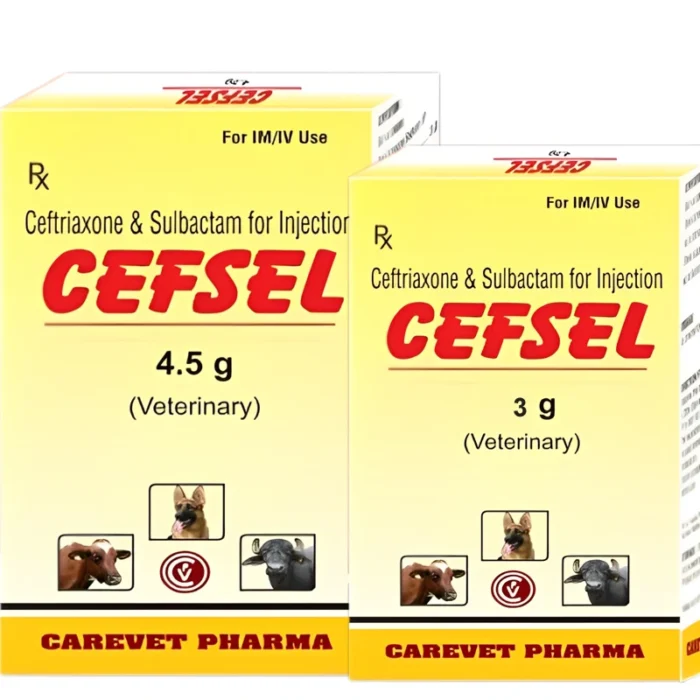 CEFSEL Injection