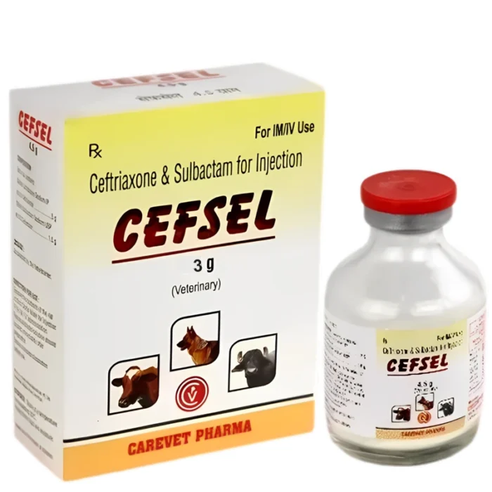 CEFSEL Injection