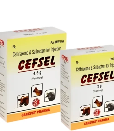 CEFSEL Injection