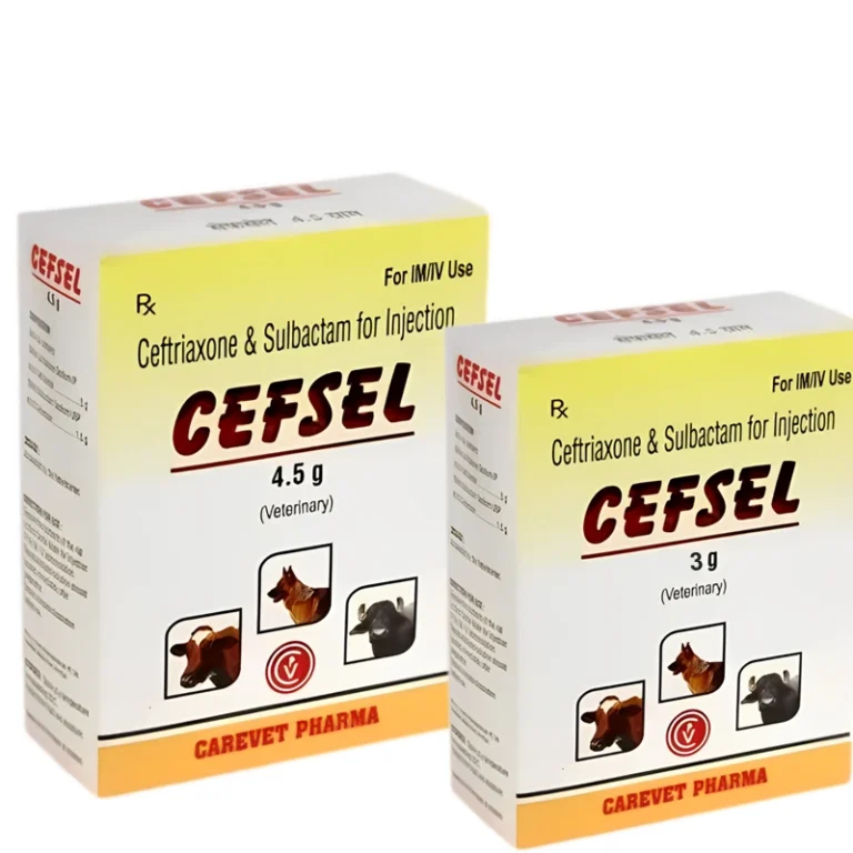 CEFSEL Injection