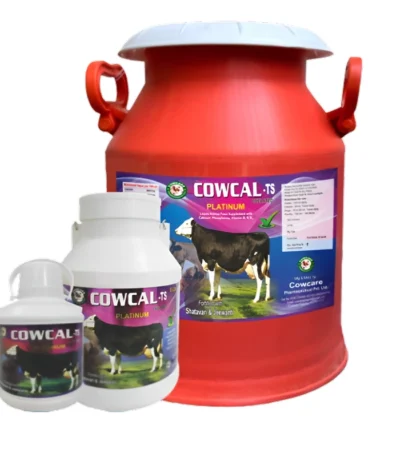 COWCAL-TS