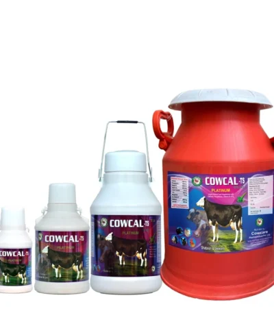 COWCAL-TS