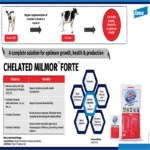 Chelated Milmor Forte