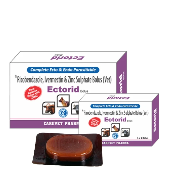 Ectorid Bolus
