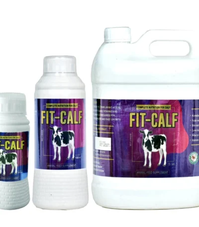 FIT-CALF