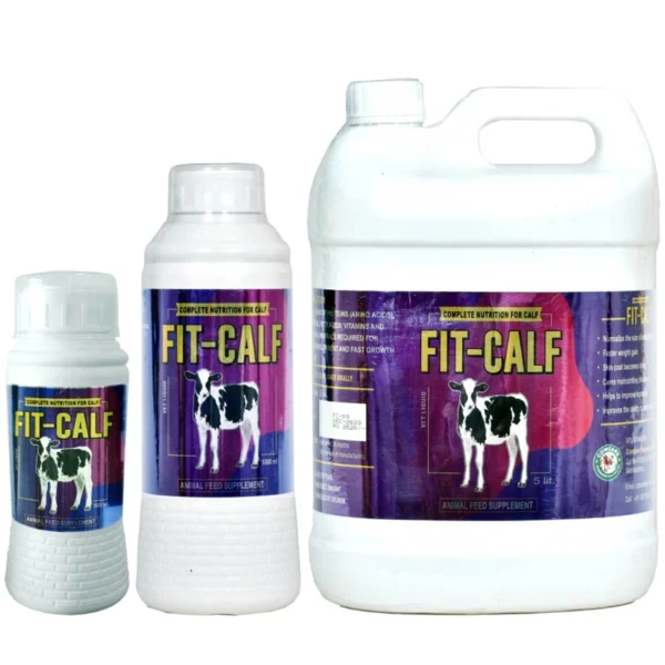 FIT-CALF