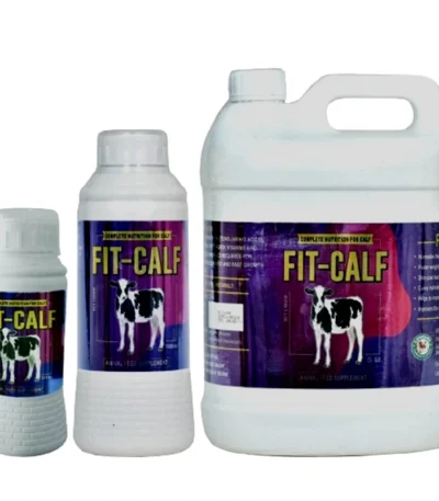 FIT-CALF
