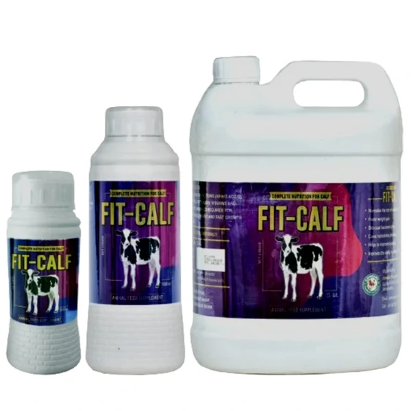 FIT-CALF