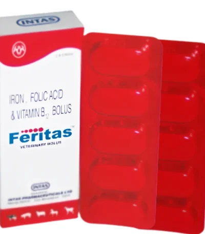 Feritas Bolus