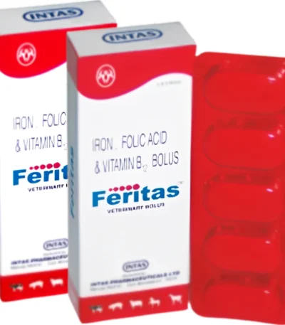 Feritas Bolus