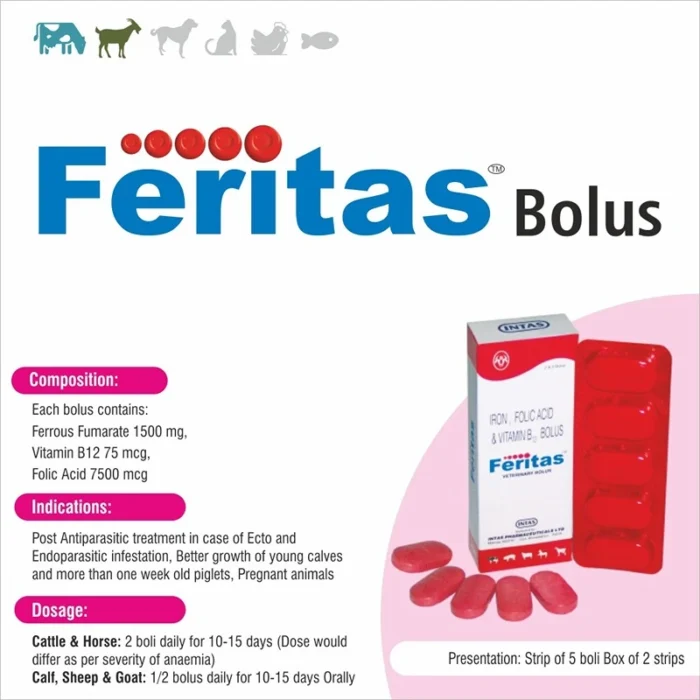 Feritas Bolus