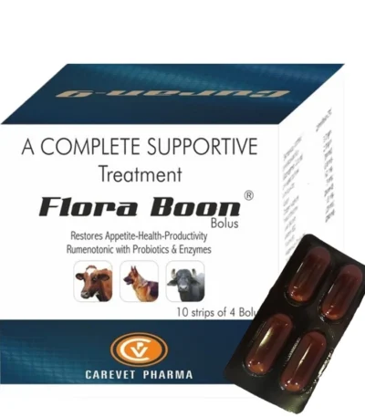 Floraboon Bolus