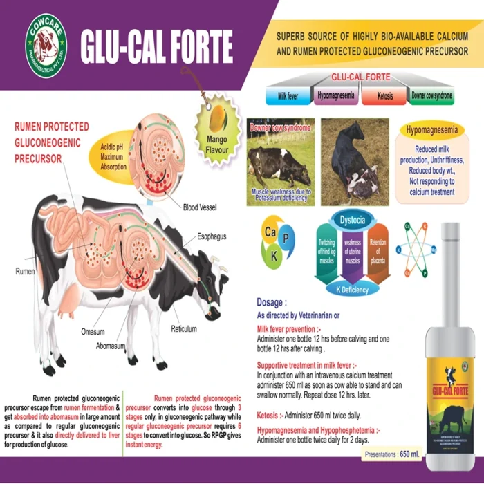 GLU-CAL FORTE