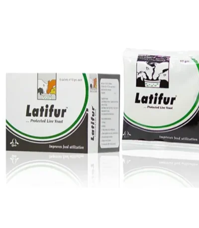 LATIFUR