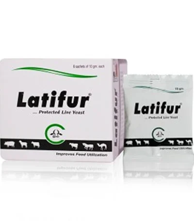 LATIFUR