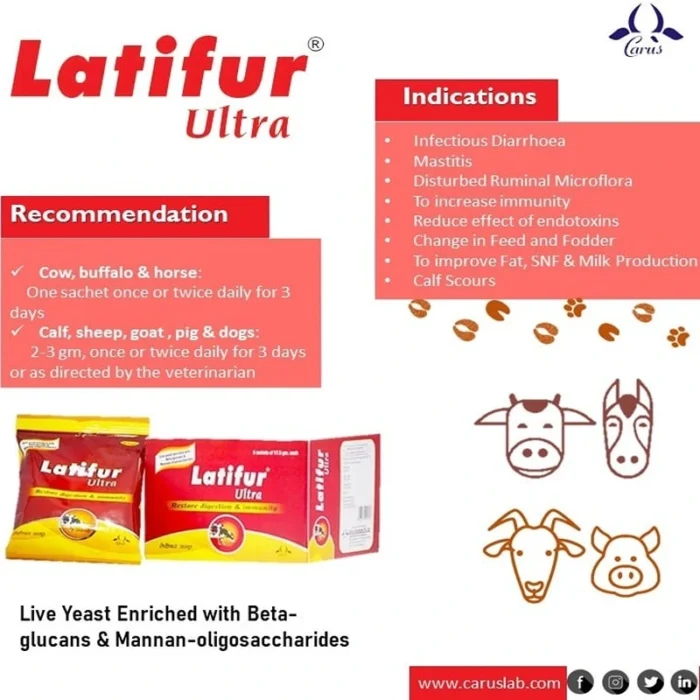 LATIFUR ULTRA