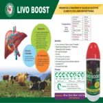 LIVO BOOST