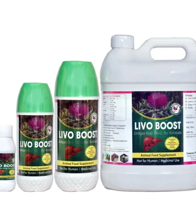 LIVO BOOST