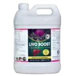 LIVO BOOST