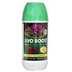 LIVO BOOST
