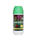 LIVO BOOST