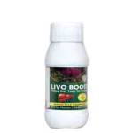 LIVO BOOST