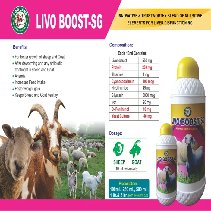 LIVO BOOST-SG