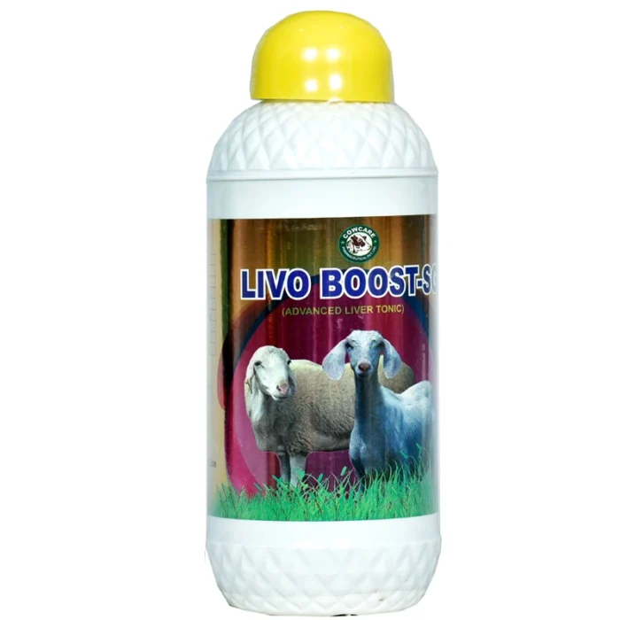 LIVO BOOST-SG