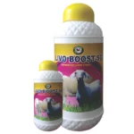 LIVO BOOST-SG