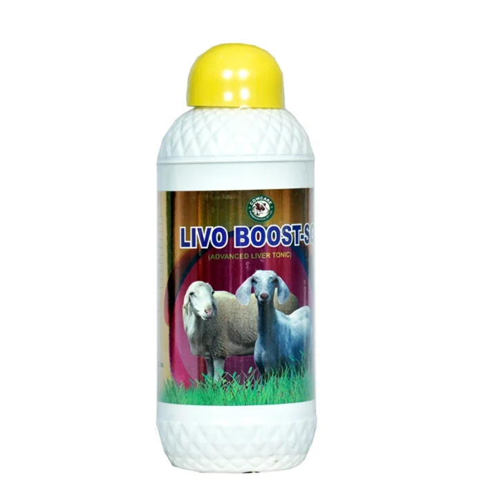 LIVO BOOST-SG